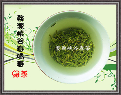 饮茶与健康 饮茶与健康