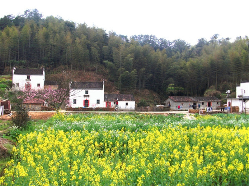 西源——石峡谷韵春意浓