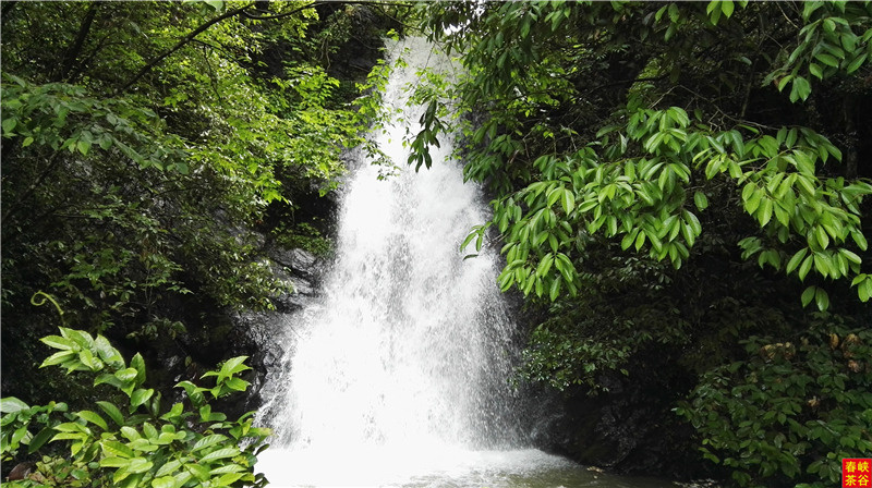西源——石峡谷韵春意浓