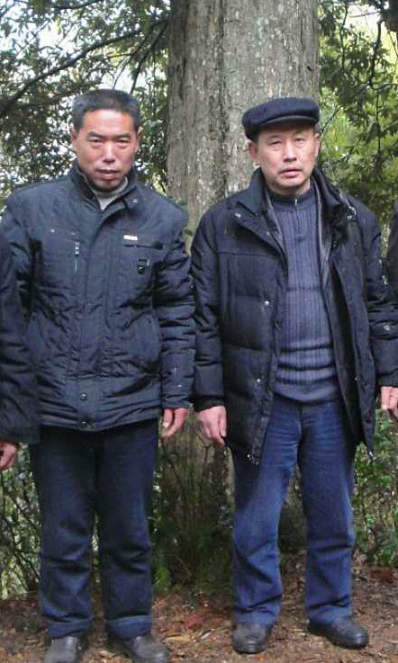 婺源茶艺面面观 婺源茶艺面面观