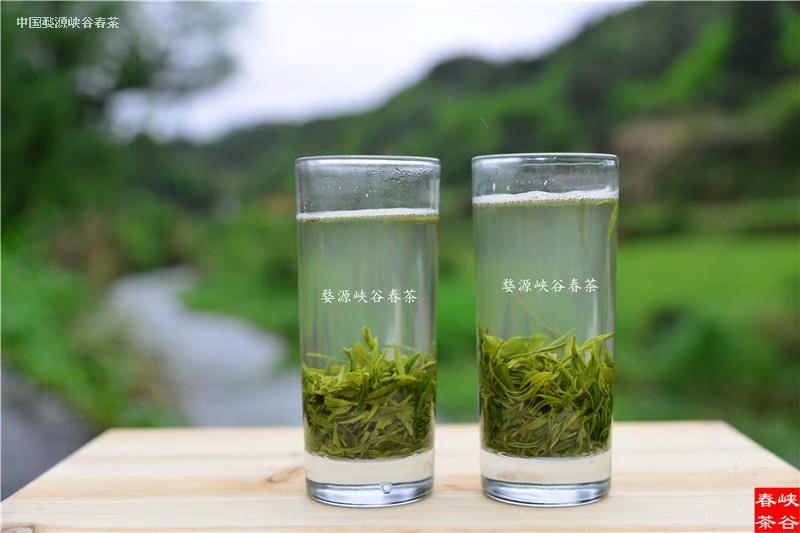 喝茶记 喝茶记