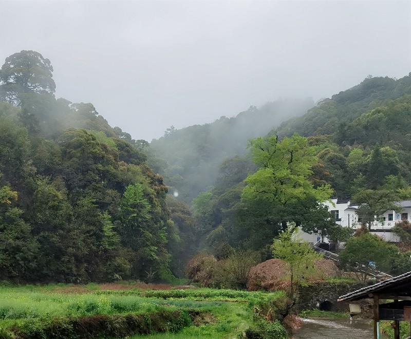 三月江南